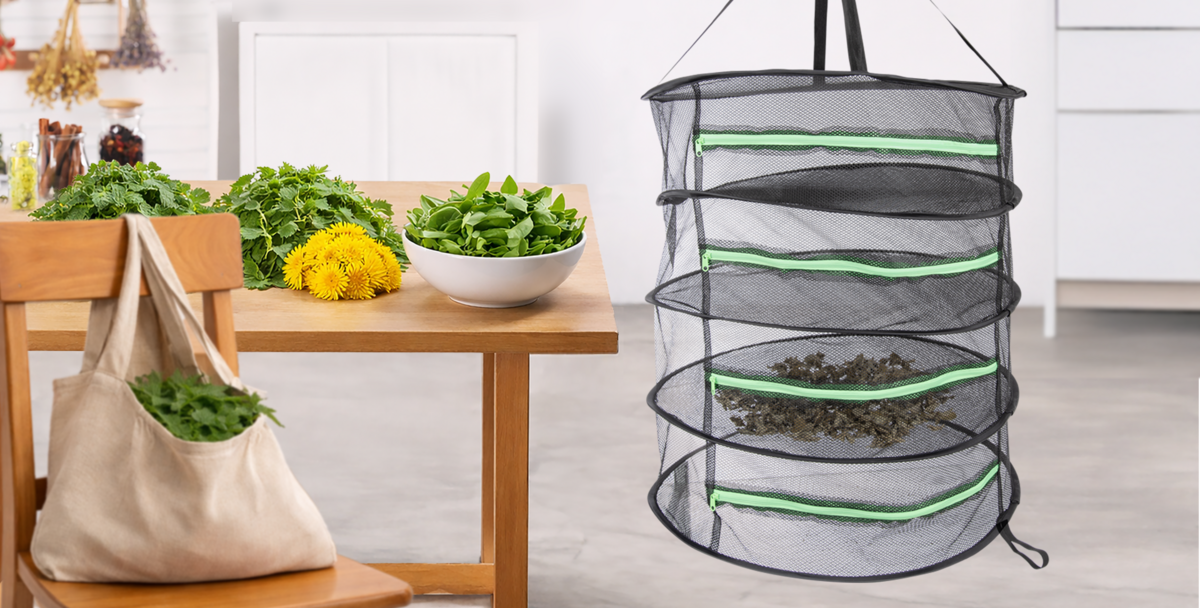 JAK SPRÁVNĚ SUŠIT BYLINKY