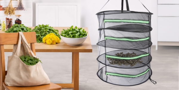 JAK SPRÁVNĚ SUŠIT BYLINKY