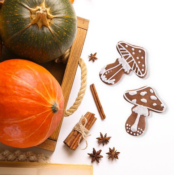 Vykrajovačka muchomůrka