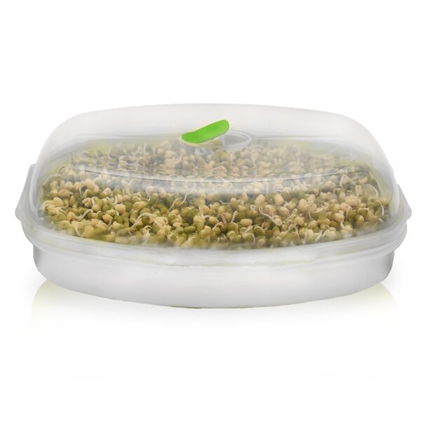 Nakličovací mísa s víkem 29x21 cm