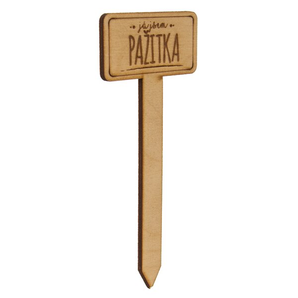 Zápich do květináče pažitka