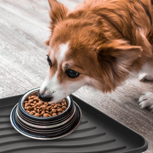 Venkovní rohož-odkapávač 50x38 cm