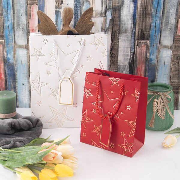 Dárková taška hvězda 18x10x23 cm 