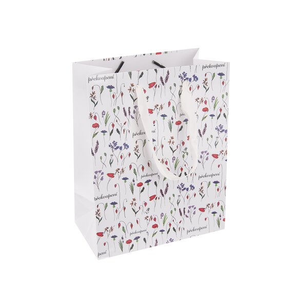 Dárková taška Překvapení 18x10x23 cm