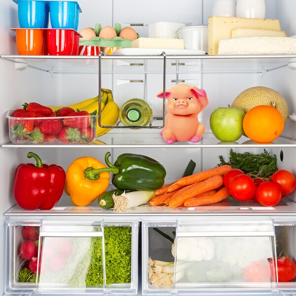 Prasátko do lednice