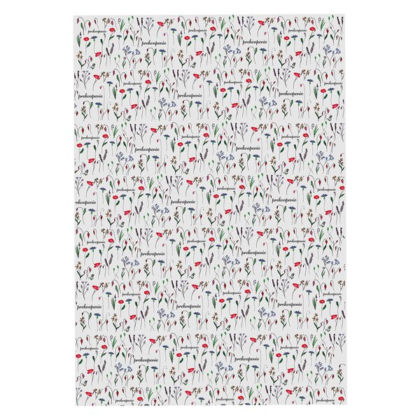 Balicí papír Prekvapenie 100x70 cm 2 ks