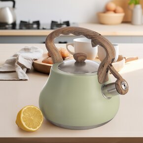 Čajník s píšťalou GREENISH 3 l