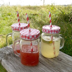 Sklenice Straw s víčkem a brčkem 0,45 l