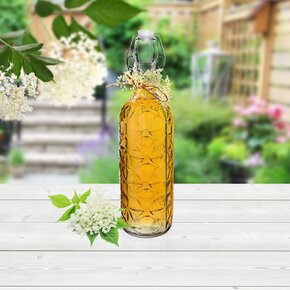 Láhev s klip uzávěrem Ela 0,75 l