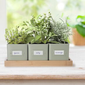 Květináč bylinky GREENISH 11,5x11,5 cm 3 ks+podtácek