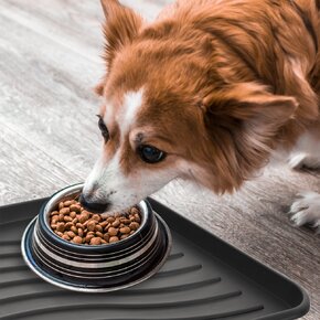 Venkovní rohož-odkapávač 50x38 cm