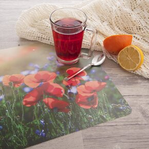 Prostírání 43,5x28,5 cm luční kvítí