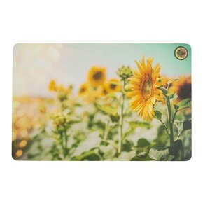 Prostírání 43,5x28,5 cm luční kvítí