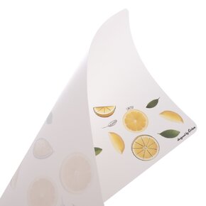 Prostírání LIMEPOP 43x28 cm