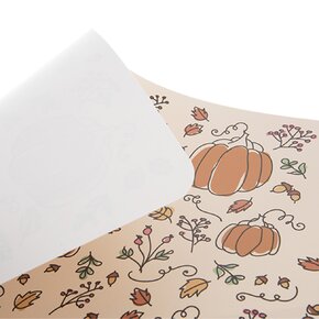 Prostírání dýně 43x28 cm