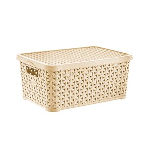 Box RATAN Hobby s víkem 6 l