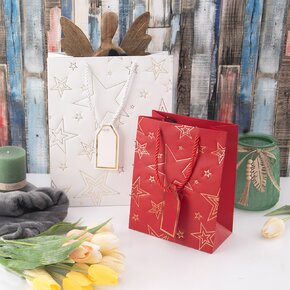 Dárková taška hvězda 18x10x23 cm 