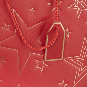 Dárková taška hvězda 31x12x26 cm