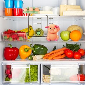 Prasátko do lednice